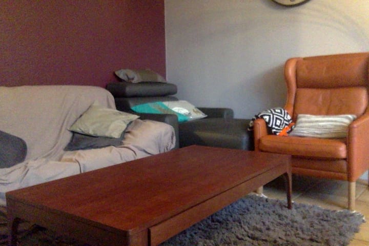 Многу светла дневна соба - удобен кауч - паметен телевизор