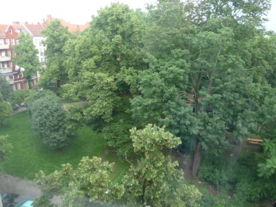 view from the balcony