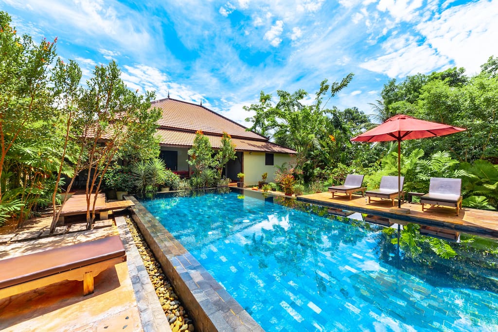 Pool & garden