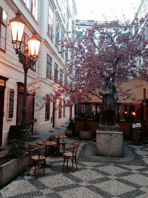 courtyard in spring