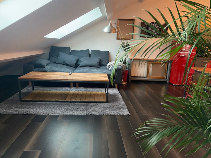 Logement , Proche Frontière Meyrin-cern-genève - Confort