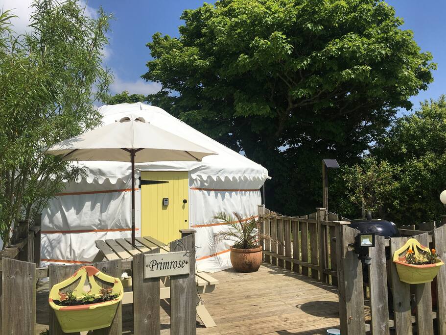 Primrose Yurt