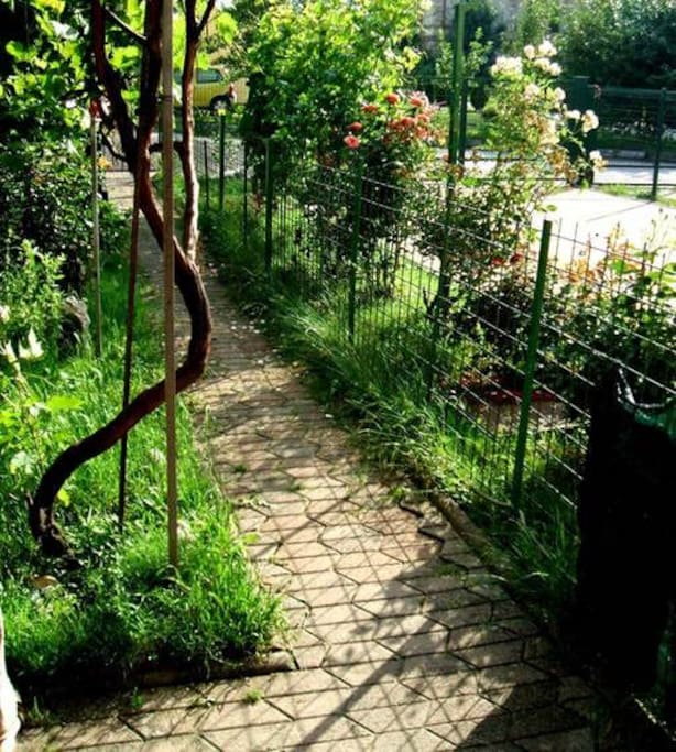 garden