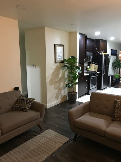 Living room and kitchen