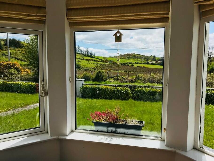View from Kitchen
