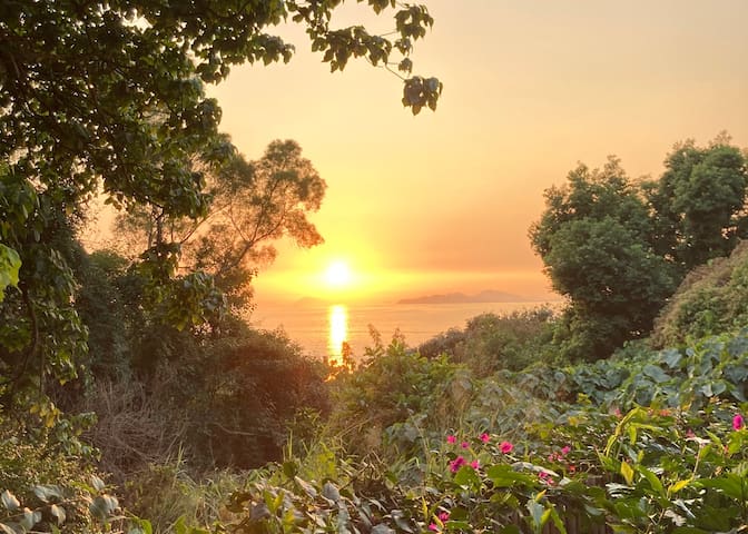 Le Banyan, Lamma Island gallery image 3