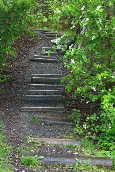 The 4 minute path to charming downtown Drobak