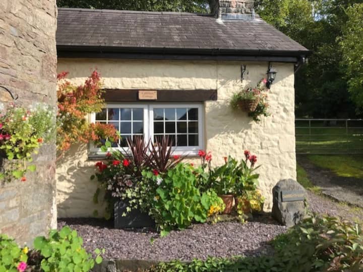 The Cobblers Cottage with log burner Guest suites for Rent in