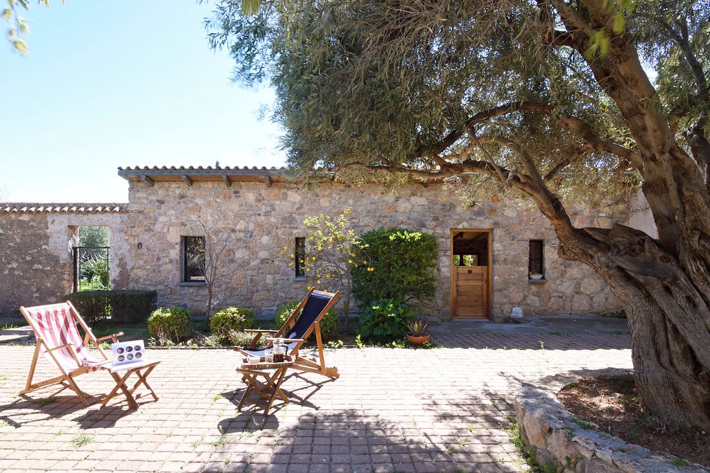 Relaxing afternoon in the Mediterranean garden