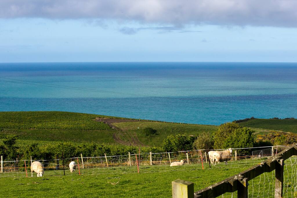 view towards bushy beach