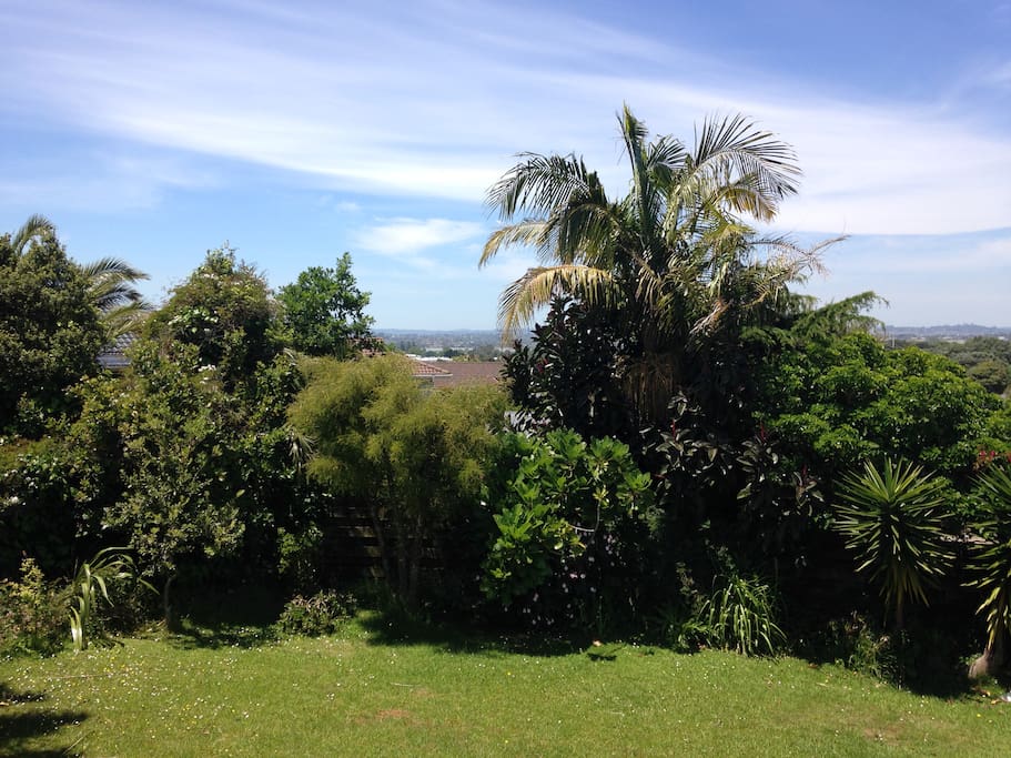 Looking east from back deck