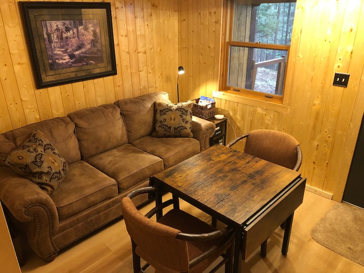 Game room downstairs includes sofa sleeper with queen-sized mattress. 