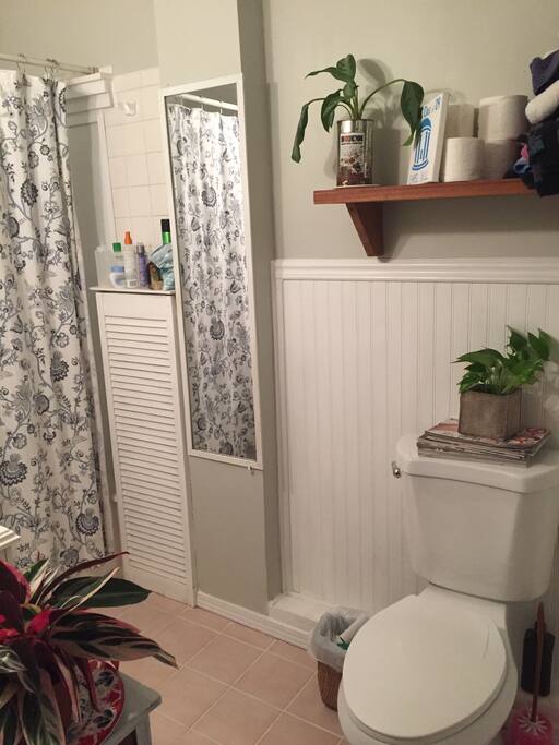 Large bathtub with shower