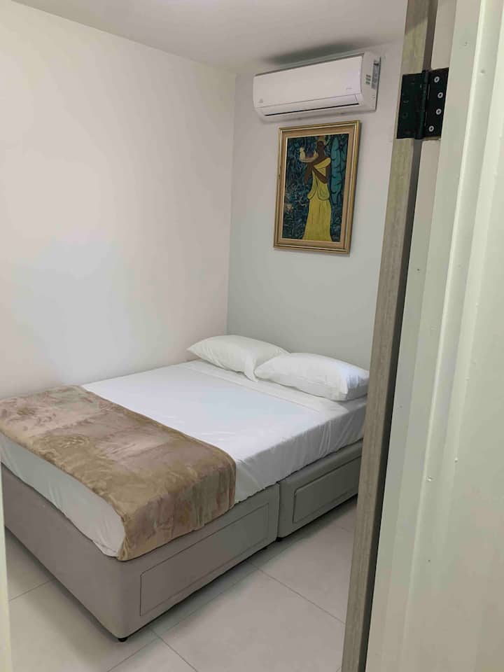 جناح فيوليت 