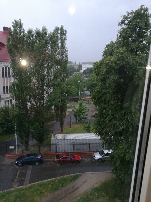 Вид из окна на королевский пруд