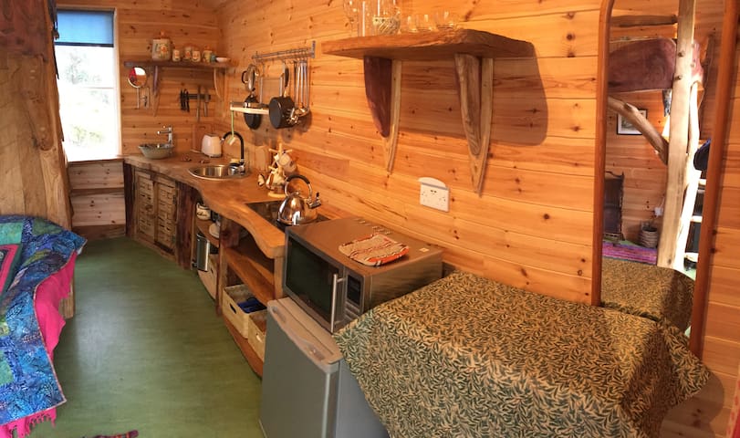 Forest Studio