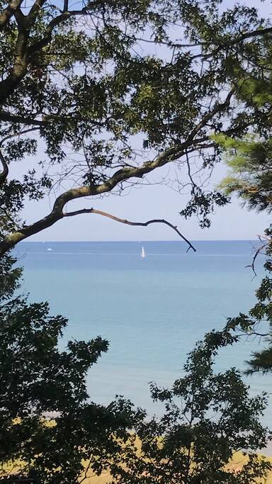 View from our deck