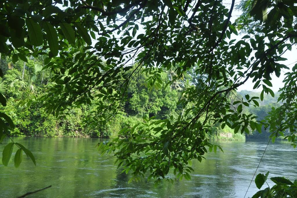 Serene Thodupuzha river bordering property