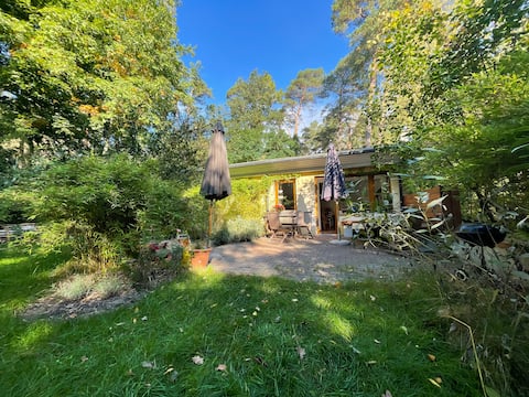 Small house with fireplace on 1000 sqm forest property