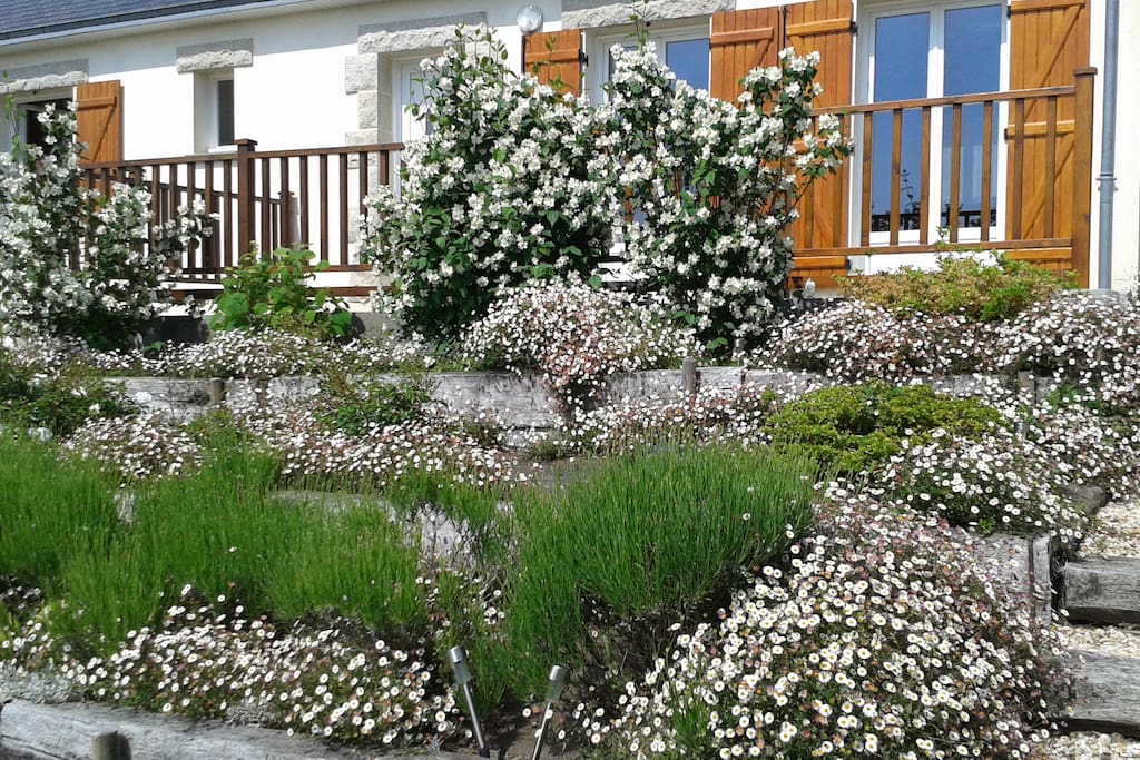 C'est le printemps
