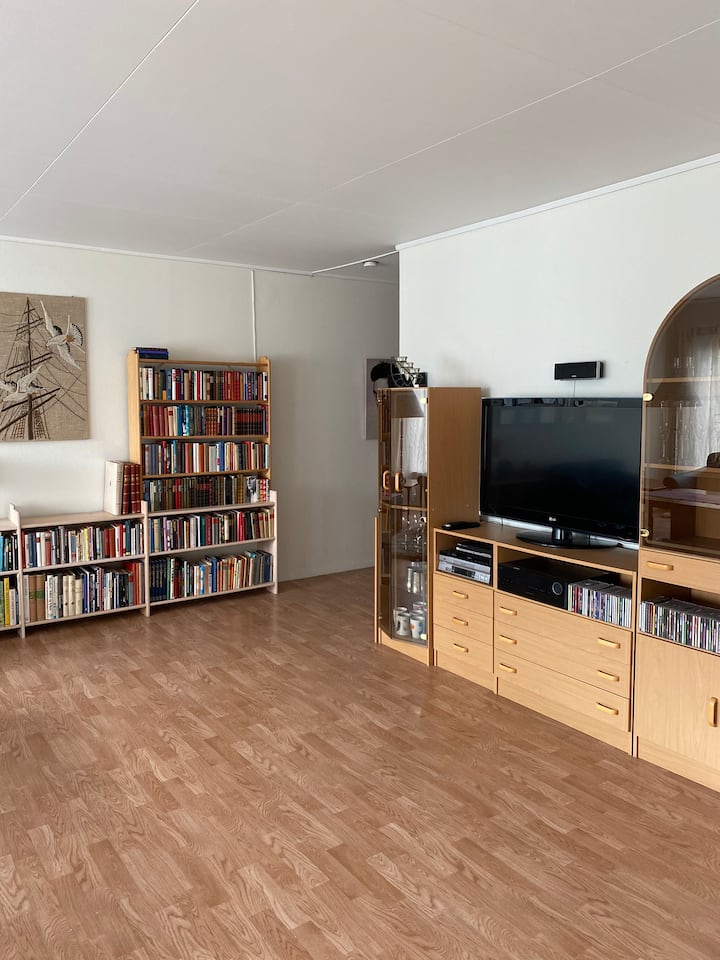 Équipé de livres pour ceux qui aiment lire, CD pour ceux qui aiment la musique, DVD pour le film.