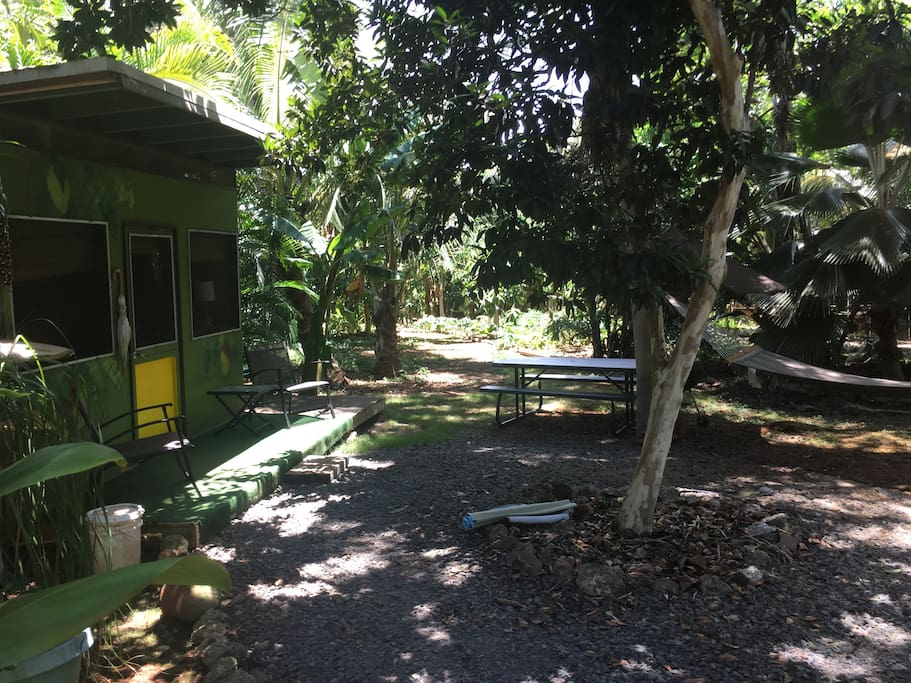 Mango bungalow ready for you