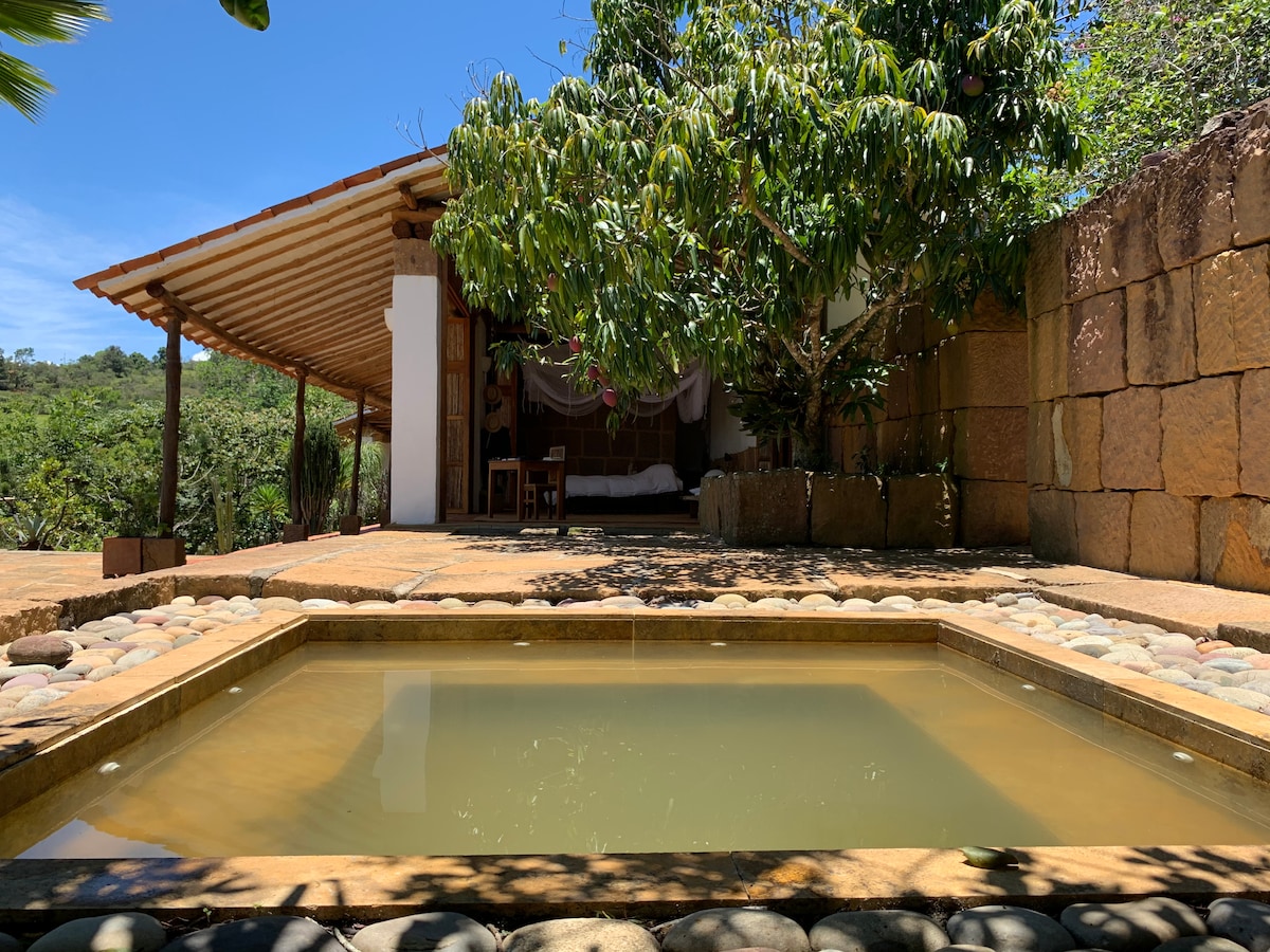 A tranquil outdoor space features a small pool surrounded by smooth stones, reflecting the blue sky. Lush greenery is visible, creating a serene environment. In the background, a house with a sloped roof and shaded seating area can be seen, offering a seamless connection with nature.