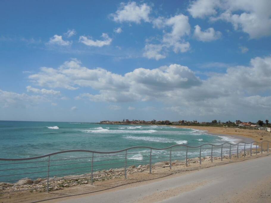 mare