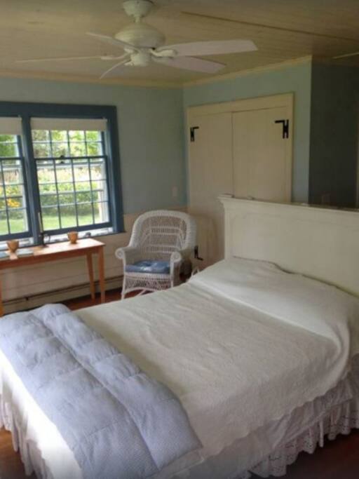 Downstairs (accessible) bedroom