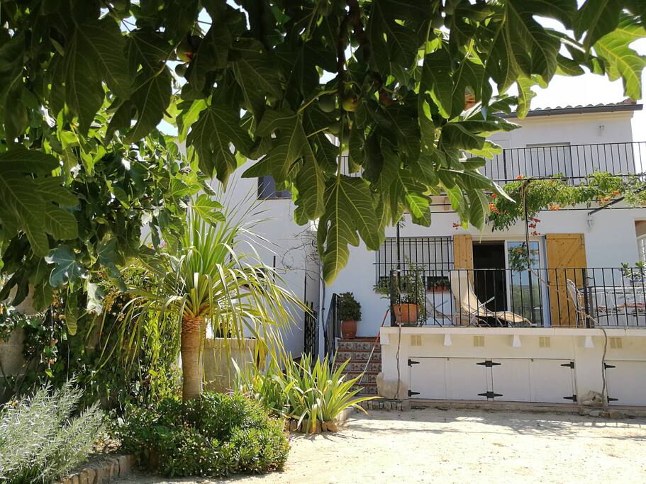 Vista de la casa desde el jardín / View of the house from the garden