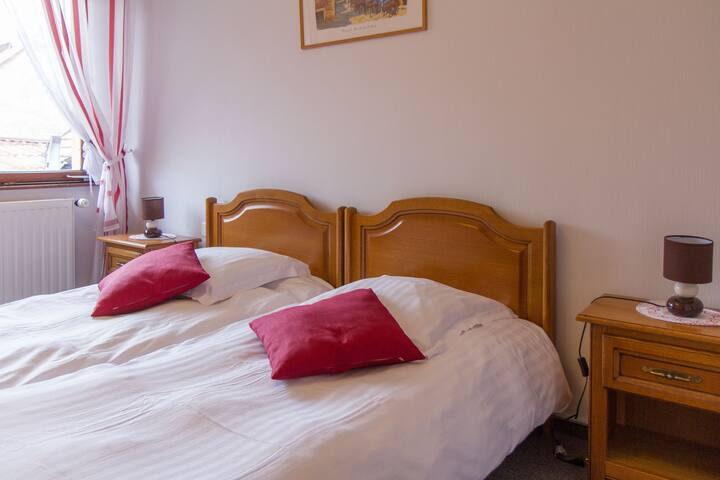 Camera Doppia con Letti Singoli