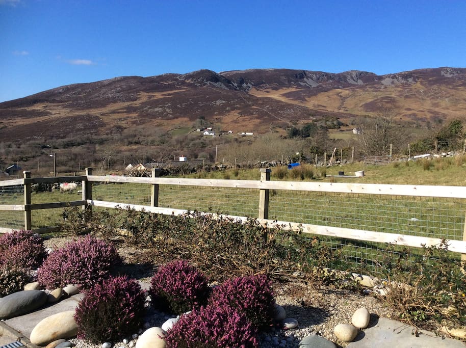 Mountain view from kitchen