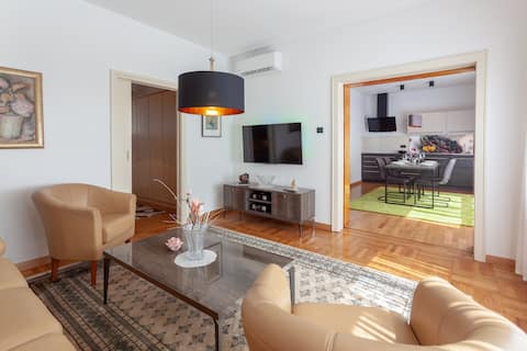 Successful Airbnb property: Villa Magnolia Ljubljana - FREE garage parking in Četrtna Skupnost Šiška