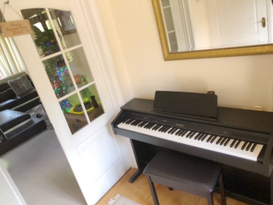Piano for your use if you do fancy
