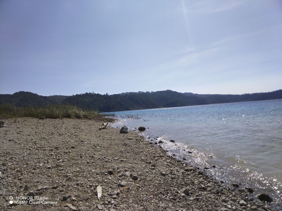 A serene lakeshore is depicted, with gentle waves lapping at the pebbly beach. Lush greenery and distant hills frame the scene under a clear blue sky. Sunlight glistens on the water's surface, creating a tranquil reflective effect.