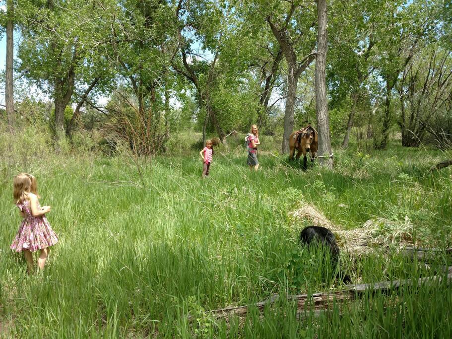 Our grandkids like to play in the area where you can camp but they are not often here. Hope you can bring your own kids or grandkids.