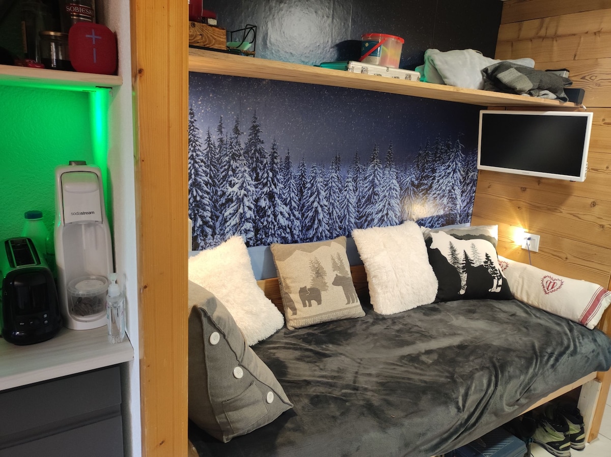 Successful Airbnb property: Studio 5 pers, large room, garage in Demi Quartier