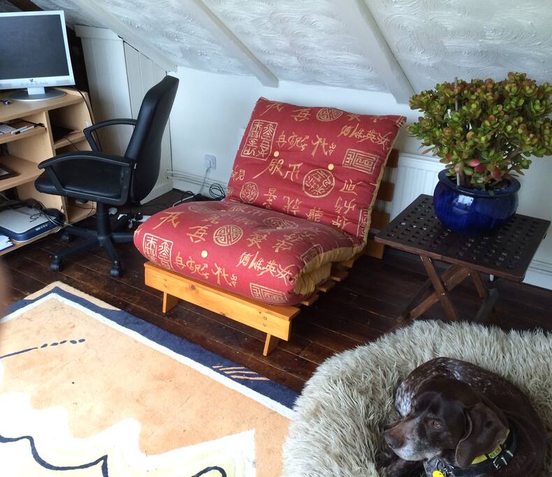Daytime futon chair, the dog (Snoopy) is an optional extra!