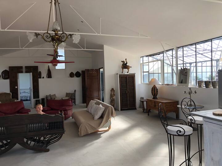 صالون نهاري