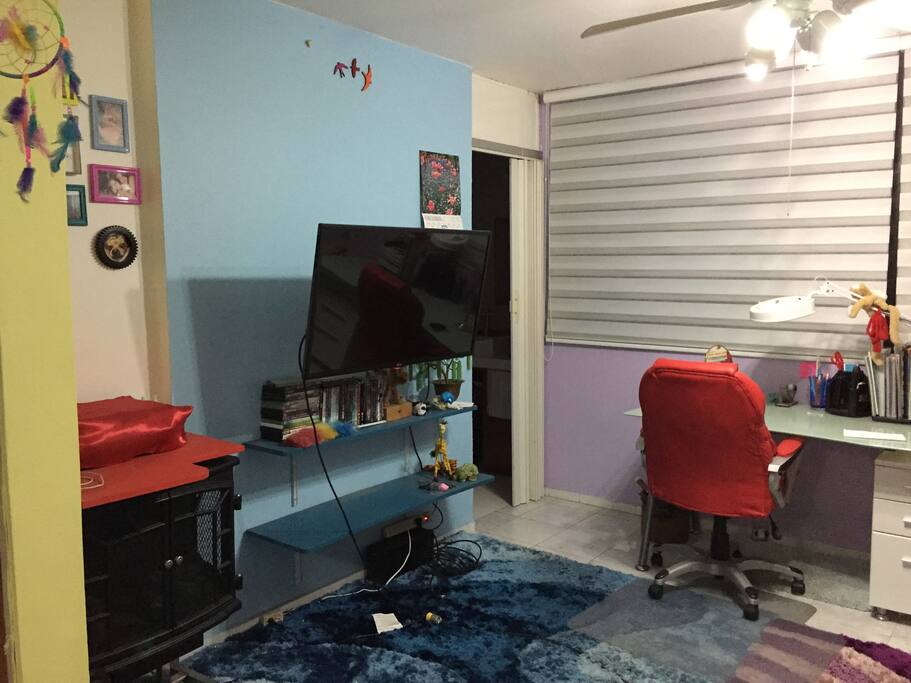 Estudio con escritorio y silla, repisas.
