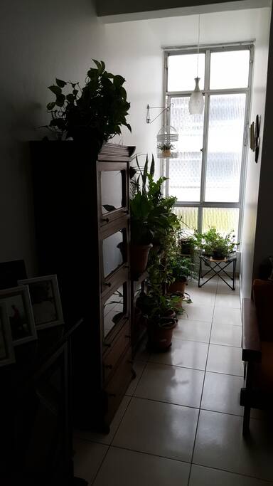 Parte de Vista da Sala, com vista para a Janela e a Rua