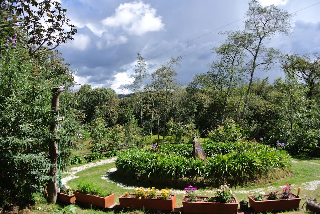The view from the veranda