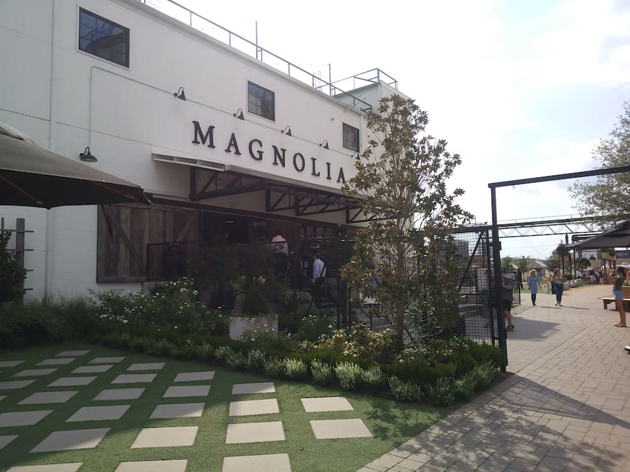 Magnolia