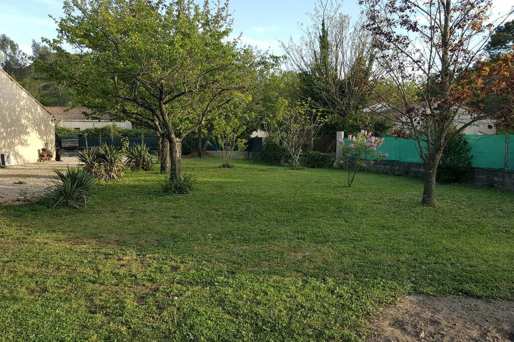 Jardin côté arbre fruitier