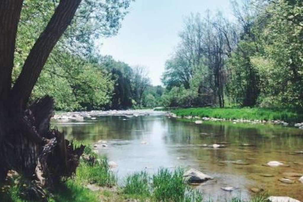 River Located in Park