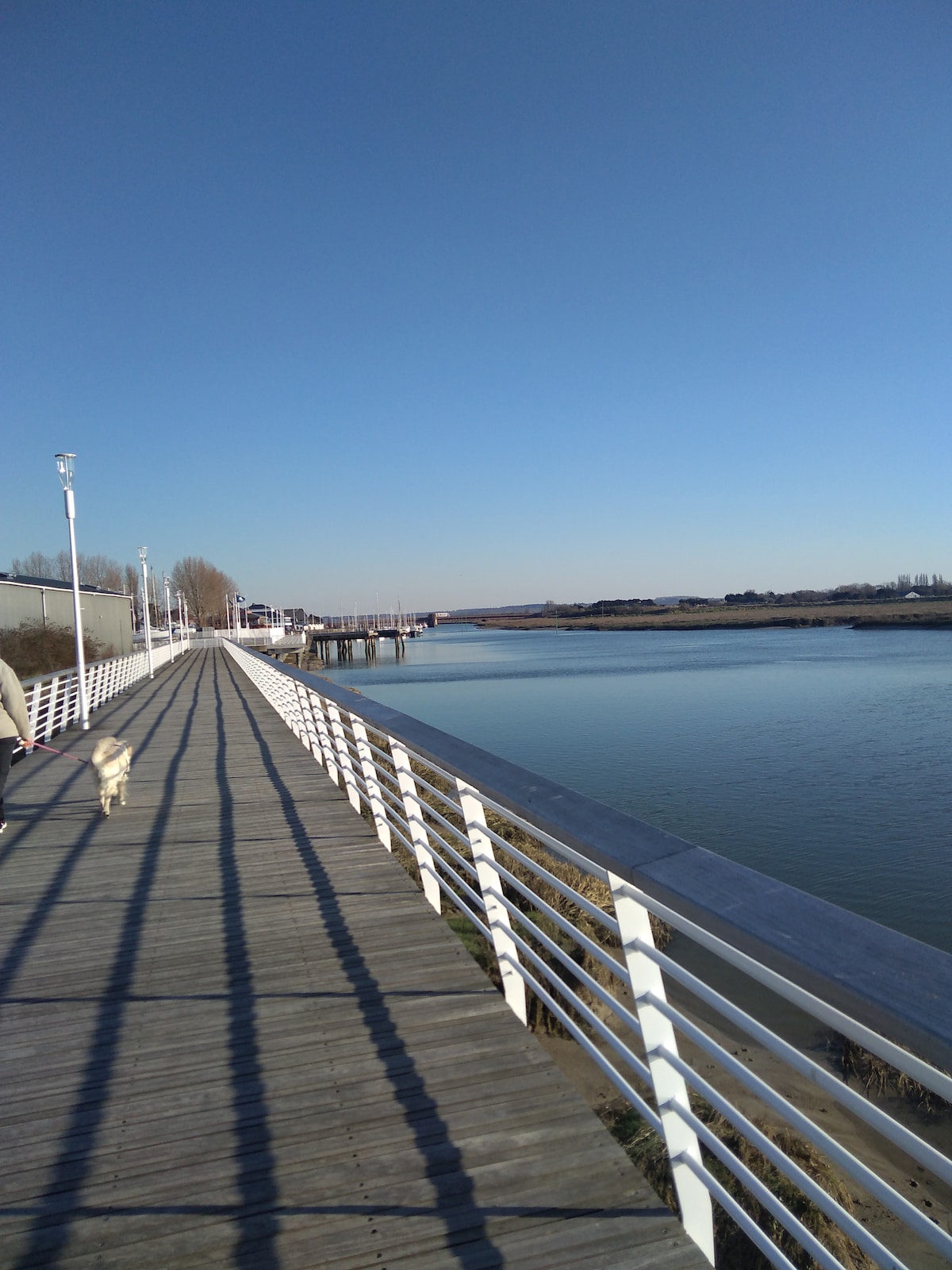 A wooden boardwalk runs alongside a calm river, with metal railings casting long shadows. On the left, a person walks with a dog. Clear blue skies stretch above, and the distant bank is visible, providing a serene backdrop.