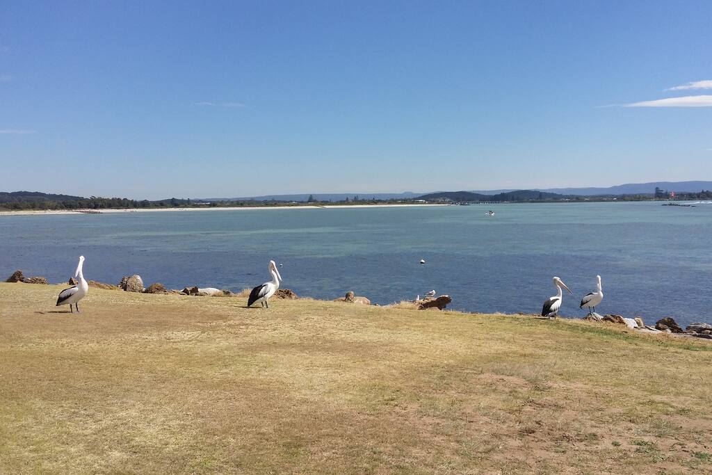 Salts Bay