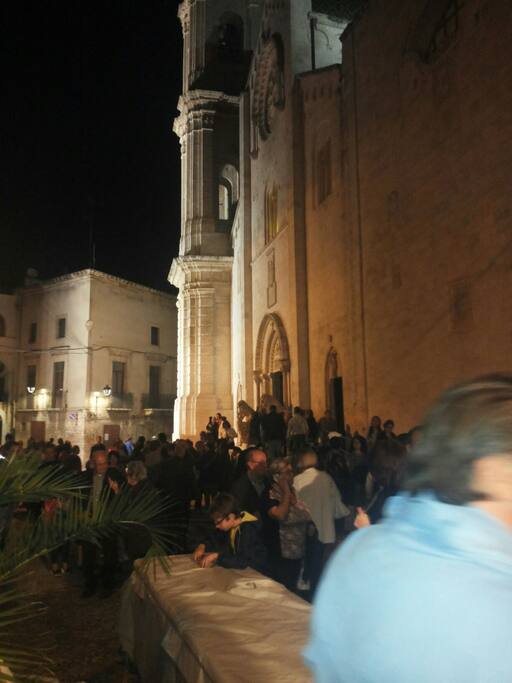 sagra dell' oliva dolce, cultivar "termite di Bitetto", detta Baresana.