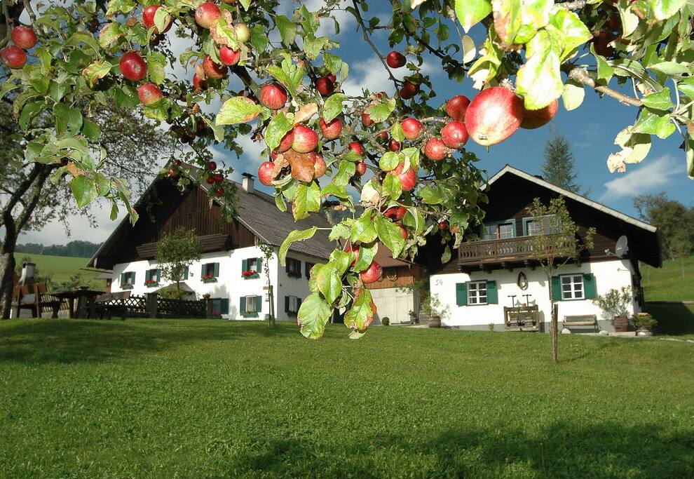 Bauernhof