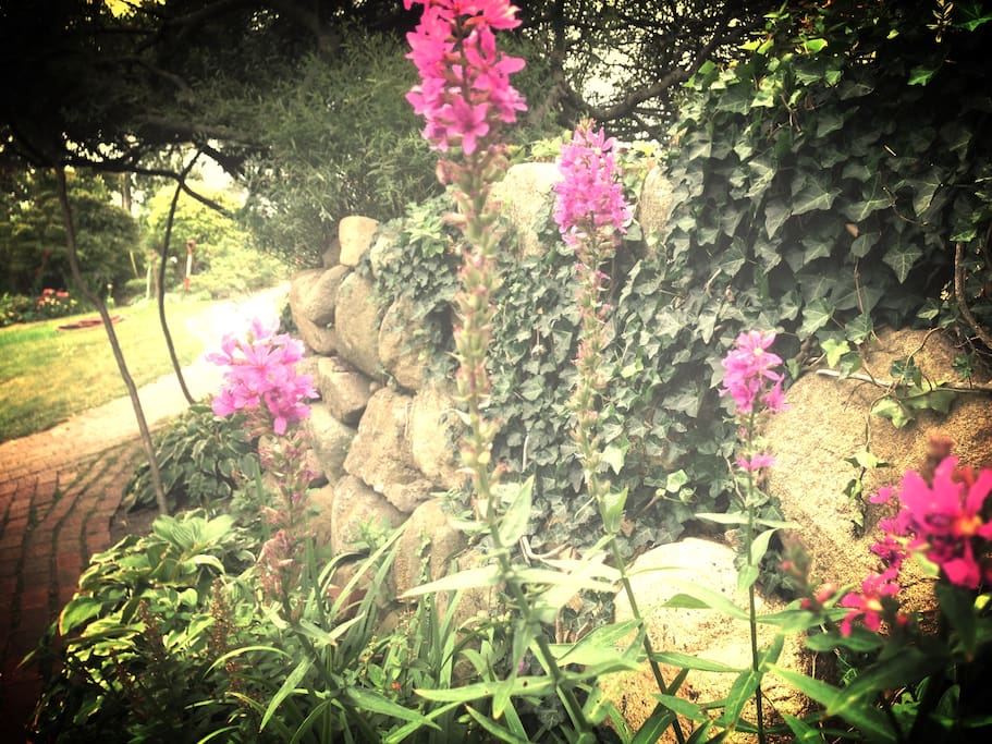 Gardens
